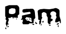 The image contains the word Pam in a stylized font with a static looking effect at the bottom of the words