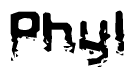 The image contains the word Phyl in a stylized font with a static looking effect at the bottom of the words