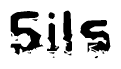 The image contains the word Sils in a stylized font with a static looking effect at the bottom of the words