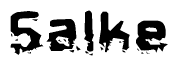 The image contains the word Salke in a stylized font with a static looking effect at the bottom of the words