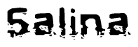 The image contains the word Salina in a stylized font with a static looking effect at the bottom of the words