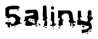 This nametag says Saliny, and has a static looking effect at the bottom of the words. The words are in a stylized font.