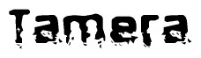 The image contains the word Tamera in a stylized font with a static looking effect at the bottom of the words