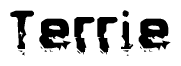 The image contains the word Terrie in a stylized font with a static looking effect at the bottom of the words