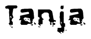 The image contains the word Tanja in a stylized font with a static looking effect at the bottom of the words