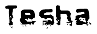 This nametag says Tesha, and has a static looking effect at the bottom of the words. The words are in a stylized font.