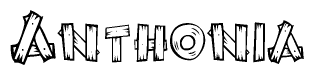The image contains the name Anthonia written in a decorative, stylized font with a hand-drawn appearance. The lines are made up of what appears to be planks of wood, which are nailed together