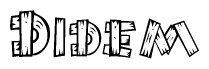 The image contains the name Didem written in a decorative, stylized font with a hand-drawn appearance. The lines are made up of what appears to be planks of wood, which are nailed together