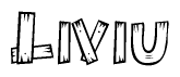 The clipart image shows the name Liviu stylized to look like it is constructed out of separate wooden planks or boards, with each letter having wood grain and plank-like details.
