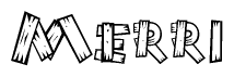 The image contains the name Merri written in a decorative, stylized font with a hand-drawn appearance. The lines are made up of what appears to be planks of wood, which are nailed together