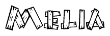 The image contains the name Melia written in a decorative, stylized font with a hand-drawn appearance. The lines are made up of what appears to be planks of wood, which are nailed together