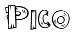 The image contains the name Pico written in a decorative, stylized font with a hand-drawn appearance. The lines are made up of what appears to be planks of wood, which are nailed together