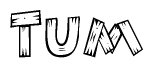 The clipart image shows the name Tum stylized to look like it is constructed out of separate wooden planks or boards, with each letter having wood grain and plank-like details.