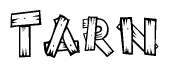 The image contains the name Tarn written in a decorative, stylized font with a hand-drawn appearance. The lines are made up of what appears to be planks of wood, which are nailed together