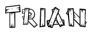 The image contains the name Trian written in a decorative, stylized font with a hand-drawn appearance. The lines are made up of what appears to be planks of wood, which are nailed together