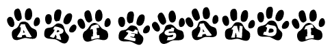 The image shows a series of animal paw prints arranged horizontally. Within each paw print, there's a letter; together they spell Ariesandi