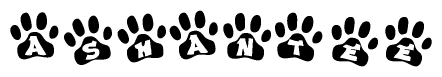 The image shows a row of animal paw prints, each containing a letter. The letters spell out the word Ashantee within the paw prints.