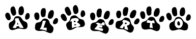 The image shows a series of animal paw prints arranged in a horizontal line. Each paw print contains a letter, and together they spell out the word Alberto.