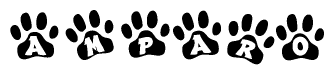 The image shows a row of animal paw prints, each containing a letter. The letters spell out the word Amparo within the paw prints.