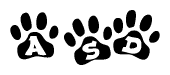 The image shows a series of animal paw prints arranged in a horizontal line. Each paw print contains a letter, and together they spell out the word Asd.