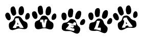 The image shows a series of animal paw prints arranged in a horizontal line. Each paw print contains a letter, and together they spell out the word Avela.