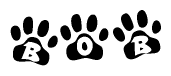 The image shows a series of animal paw prints arranged horizontally. Within each paw print, there's a letter; together they spell Bob