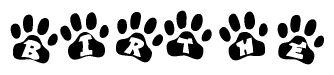 The image shows a row of animal paw prints, each containing a letter. The letters spell out the word Birthe within the paw prints.