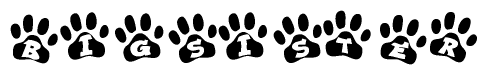 The image shows a series of animal paw prints arranged in a horizontal line. Each paw print contains a letter, and together they spell out the word Bigsister.