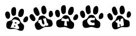 The image shows a row of animal paw prints, each containing a letter. The letters spell out the word Butch within the paw prints.