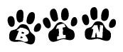 The image shows a row of animal paw prints, each containing a letter. The letters spell out the word Bin within the paw prints.