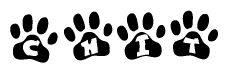 The image shows a row of animal paw prints, each containing a letter. The letters spell out the word Chit within the paw prints.