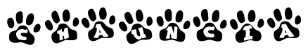 The image shows a row of animal paw prints, each containing a letter. The letters spell out the word Chauncia within the paw prints.