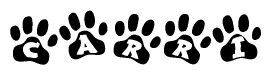 The image shows a series of animal paw prints arranged in a horizontal line. Each paw print contains a letter, and together they spell out the word Carri.