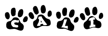 The image shows a series of animal paw prints arranged in a horizontal line. Each paw print contains a letter, and together they spell out the word Cali.