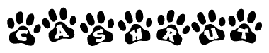 The image shows a series of animal paw prints arranged in a horizontal line. Each paw print contains a letter, and together they spell out the word Cashrut.
