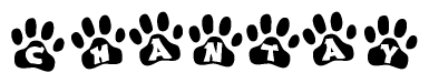 The image shows a series of animal paw prints arranged horizontally. Within each paw print, there's a letter; together they spell Chantay
