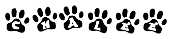 The image shows a series of animal paw prints arranged in a horizontal line. Each paw print contains a letter, and together they spell out the word Chalee.