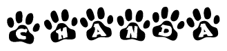 The image shows a series of animal paw prints arranged horizontally. Within each paw print, there's a letter; together they spell Chanda