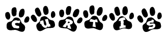 The image shows a series of animal paw prints arranged in a horizontal line. Each paw print contains a letter, and together they spell out the word Curtis.