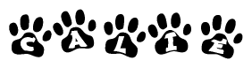 The image shows a series of animal paw prints arranged horizontally. Within each paw print, there's a letter; together they spell Calie