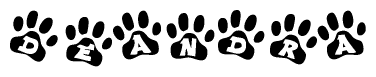 The image shows a series of animal paw prints arranged horizontally. Within each paw print, there's a letter; together they spell Deandra