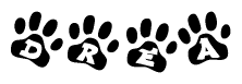 The image shows a series of animal paw prints arranged horizontally. Within each paw print, there's a letter; together they spell Drea