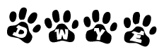 The image shows a series of animal paw prints arranged in a horizontal line. Each paw print contains a letter, and together they spell out the word Dwye.