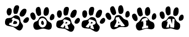 The image shows a series of animal paw prints arranged in a horizontal line. Each paw print contains a letter, and together they spell out the word Dorrain.