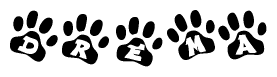 The image shows a series of animal paw prints arranged in a horizontal line. Each paw print contains a letter, and together they spell out the word Drema.