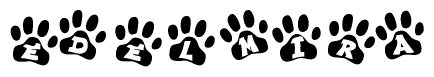 The image shows a row of animal paw prints, each containing a letter. The letters spell out the word Edelmira within the paw prints.
