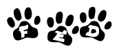 The image shows a series of animal paw prints arranged horizontally. Within each paw print, there's a letter; together they spell Fed
