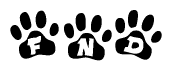 The image shows a series of animal paw prints arranged horizontally. Within each paw print, there's a letter; together they spell Fnd