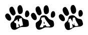 The image shows a row of animal paw prints, each containing a letter. The letters spell out the word Ham within the paw prints.