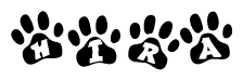 The image shows a series of animal paw prints arranged horizontally. Within each paw print, there's a letter; together they spell Hira